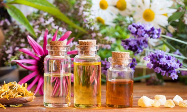 Minyak Angin: Bahan Alami Yang Menjadi Penyelamat Sehari-Hari