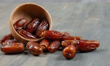 Kurma: Energi Manis Untuk Buka Puasa Di Ramadhan