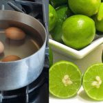 Telur Rebus Dan Jeruk Nipis: Trik Sederhana, Efek Luar Biasa!
