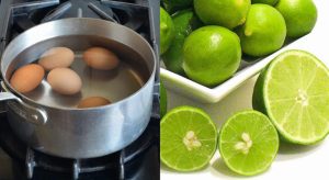 Telur Rebus Dan Jeruk Nipis: Trik Sederhana, Efek Luar Biasa!